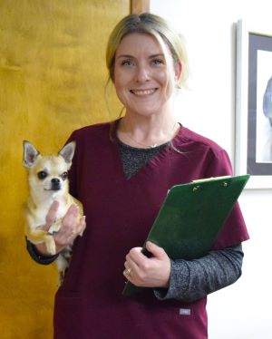 Cindy & Archie working hard on international health certificates