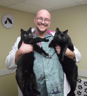 Dr. Nick has his hands full with Veil and Kaladin