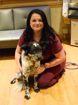 Jessy & Nellie in our comfortable ultrasound suite