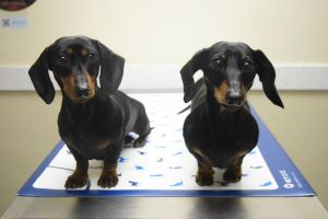 Our very own Tatum and Dezarea