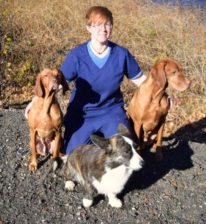 Tessa with Torr, Nilla & (insert corgi name)