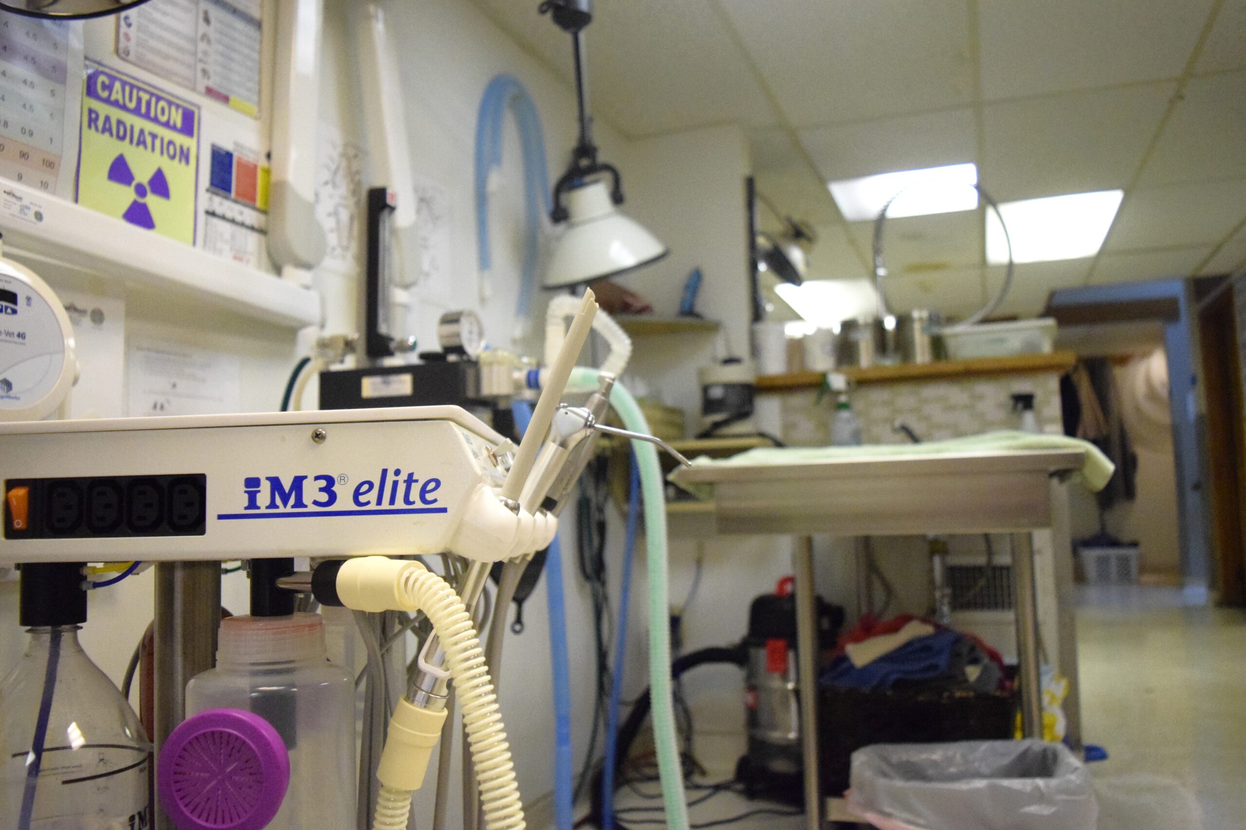 Treatment area